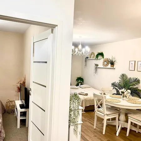 - Liliana Appartement
